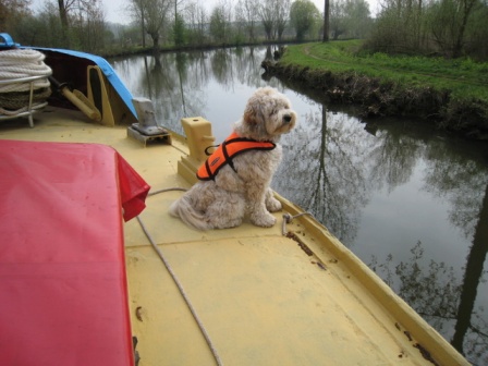Tilly